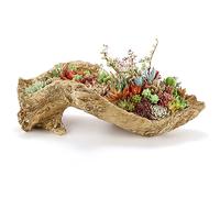 Pumtus Artificial Driftwood Planter, 16''L x 5''W x 5''H Sculpture Resin Succulent Flower Pot, Creative Imitation Wood Stump Log Bonsai Plant Pot, Cactus Container with Drainage Hole for Garden