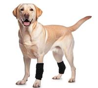 PUMYPOREITY 2Pcs Dog Front Leg Brace, Leg Splint Provides Joint Support and Against, Lick Leg Wrap Protector Hock Splint for Fractures, Wound Injury and Sprain Healing(Black, S)
