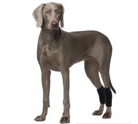 PUMYPOREITY 2Pcs Dog Leg Brace, Dog Knee Brace Adjustable Front/Rear Leg Protector Provides Hock Joint Support Wrap LegBraces Recovery Sleeve for Torn ACL HindLeg Luxating Patella(Black, XL)