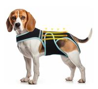 PUMYPOREITY Dog Back Brace for Slipped Disc, Dog Arthritis Support, Dachshund Back Support, Beagle Spine Support with Leash Hole, Back Brace for Dogs Spinal Injury(XL)