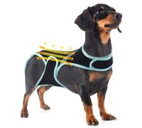 PUMYPOREITY Dog Back Support Vest, Back Brace for Dachshunds and Corgis, Ensuring Spinal Stability and Pain Relief with Reflective Stripes & Velcro Straps(M)