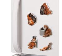 Punch Monkey - Pro-tect Punch The Monkey Refrigerator Magnets-PunchMonkey Plush Refrigerator Magnets