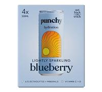 Punchy Blueberry Hydration [Pack of 24]