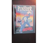 Punisher: Intruder