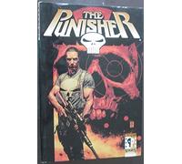 Punisher Vol. 1