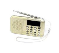 Punjabi Roots Gurbani MP3 Player with over 800 Hours of Pre Loaded Plath, Nitnem, Sukhmani Sahib & Lots More Paath, Katha & Kirtan: Gold