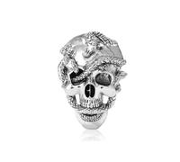Punk Skull Snake Brooch for Women Men Gothic Skull Head Brooch Vintage Gold Silver Snake Pin Goth Style Clothing Hat Bag Skirt Accessories Birthday Party Costume Jewelry (Silver)