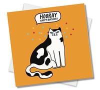 Punkcards - Birthday Card for Cat Loves - 'Hooray Happy Birthday' - Friend Birthday Card Female - Special Friend Birthday Card - Cat Birthday Card Friend Female