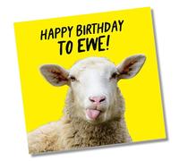 Punkcards - Funny Birthday Card - 'Happy Birthday to Ewe!' - Best Friend Birthday Card - Birthday Card for Men - Funny Birthday Card for Women