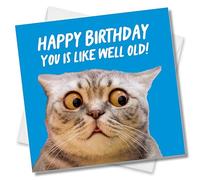 Punkcards - Funny Birthday Card - 'You is like well old! Happy Birthday' - Birthday Card for Him or Her - Birthday Card for Women - Funny Birthday Card for Cat Lover