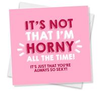 Punkcards, Funny Valentine’s Card For Wife, Funny Valentines Card For Her, Funny Valentine’s Card for Husband, It’s not that I’m horny all the time!