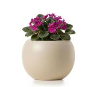 Punklong 6.8 Inch Ceramic Self Watering Pot, African Violet Pot for Small Plants, Round Self Watering Planter with Water Storage, Decorative Plant Pot for Indoor Plants, Plant Lover Gifts, Khaki