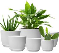 Punklong 6 Packs Plant Pots, 25/23/20/18/16/13 cm Plastic Plant Pots Indoor, Flower Pot With Drainage Holes and Trays, Modern Decorative Planter Pot for All House Plants(White)