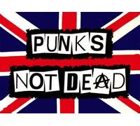 Punks Not Dead Anarchy Stiff Little Fingers Flag 5'x3'