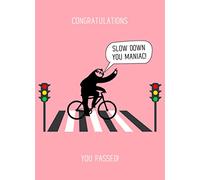 Punny Animals Sloth Driving Test Funny Greeting Card (Slow Down You Maniac)
