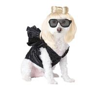 Pup-A-Razzi Pop Sensation Dog Costume, Small
