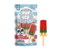 Pup-Ice Freezable Rocket Lolly Treats for Dogs 90g, Watermelon Flavour, Chew For Digestion, Multivitamins
