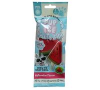 Pup-Ice Freezable Watermelon Fruity Lolly Treats for Large Dogs 90g, Chew For Digestion, Multivitamins