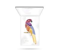 Pupa - Parrot 001 Samba