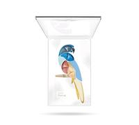 Parot pupa 003 rio