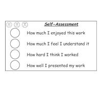 Pupil Self-Assessment 3 Faces School Stamp - Large Format. 4 Personal Statements for Students to Complete with a Happy, Sad, OK/Flat Face. Choice of Ink Colours (Black)