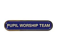 Pupil Worship Team Gel Domed Blue School Bar Badge