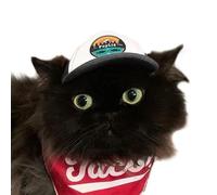 PupLid Trucker Hats for Kittens - Premium Stylish Sun Protection for The Modern Cat - Adjustable Secure Fitting Cat Hat (Black, All-Terrain)