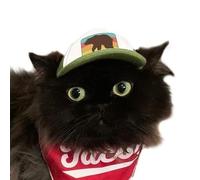 PupLid Trucker Hats for Kittens - Premium Stylish Sun Protection for The Modern Cat - Adjustable Secure Fitting Cat Hat (Green, Bear)