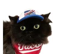 PupLid Trucker Hats for Kittens - Premium Stylish Sun Protection for The Modern Cat - Adjustable Secure Fitting Cat Hat (Blue, Eagle)