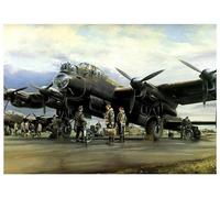 PuPLUm DIY Oil Painting by Numbers for Adults,Retro Military Aircraft Bomber Fighter,Beginner DIY Oil Painting Kit Gift for Bedroom Living Room Decor,40x50cm