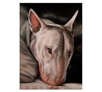 PuPLUm DIY Paint by Numbers Bull Terrier Dog Painting Kit for Beginner, Adults, 40x50cm, No Frame