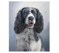 PuPLUm Paint by Numbers for Adults Springer Spaniel Dog DIY Canvas Painting Kit Paint by Number Kit,40x50cm,Without Frame