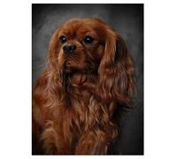 PuPLUm Painting by Number Kits for Adults,Cavalier King Charles Spaniel Dog,DIY Canvas Oil Painting Kit for Beginner with Paint Brushes Acrylic Pigment Drawing Paintwork 16x20inch