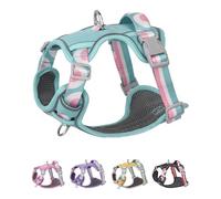 Puppia Small Dog Harness with Handle - Green, XS