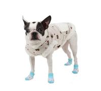 Puppia [SOCKS FOR DOGS POLKA DOT II, M