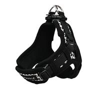 Puppia Spring and Summer Fashion X Type Dog Harness, Black_Egon, Medium
