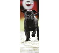 Puppies 2025 Slim Calendar