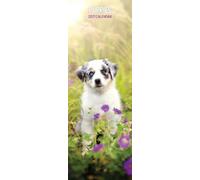 Puppies 2027 Slim Calendar