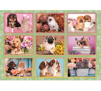 Puppies Collage