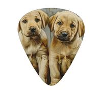 puppies dog print Celluloid Guitar Plectrums for Acoustic Guitar Bass,Guitar Picks with Organizer Box