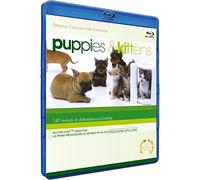 Puppies & Kittens (Special Collector's Edition)