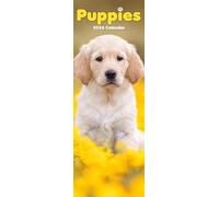 Puppies Slim 2026 Calendar | Slimline Wall Calendar | Dog Breed Gift | Plastic Free Packaging | by Avonside Publishing