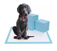 Puppy and Dog Pee Pads, Thicken 6 Layers Potty Training Pads for Dogs Cats Rabbits with Super-Absorbent & Leak-Proof Design and Quick-Dry Surface (L, 60 * 60 cm, 40 Count)
