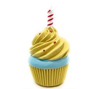 Puppy Birthday Dog First Birthday Happy Birthday Dog Birthday Cake for Dogs