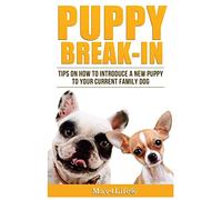 Puppy Break-In: Tips On How To Introduce A New Puppy To Your Current Family Dog