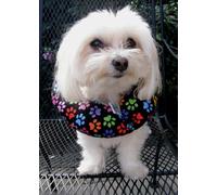 Puppy Bumpers RBP710 Rainbow Paws Collar up to 10 in.