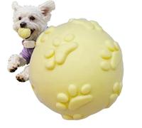 Puppy Chew Toy Squeaky Pet Play Bouncy Ball