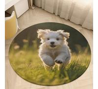 Puppy Crossing The Grass Area Rug Washable Circle Carpet Non-Slip Round Floor Rug Small Low Pile Waterproof Print Door Mat Pad Decor for Bedroom Living Room Bathroom Kitchen 80 * 80cm