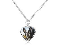 Puppy Dog Boston Terrier Pet Urn Necklace for Dog Cat Ashes Heart Pets Cremation Keepsake Waterproof Pendant Memorial Jewelry Pendants Gifts for Women Men