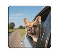 Puppy Dog Boston Terrier Picnic Blanket 200x200cm, Foldable 2-in-1 Picnic Mat and Tote Bag Portable Waterproof Beach Mat Sandproof Outdoor Blanket for Park, Hiking, Beach, Camping, Travel